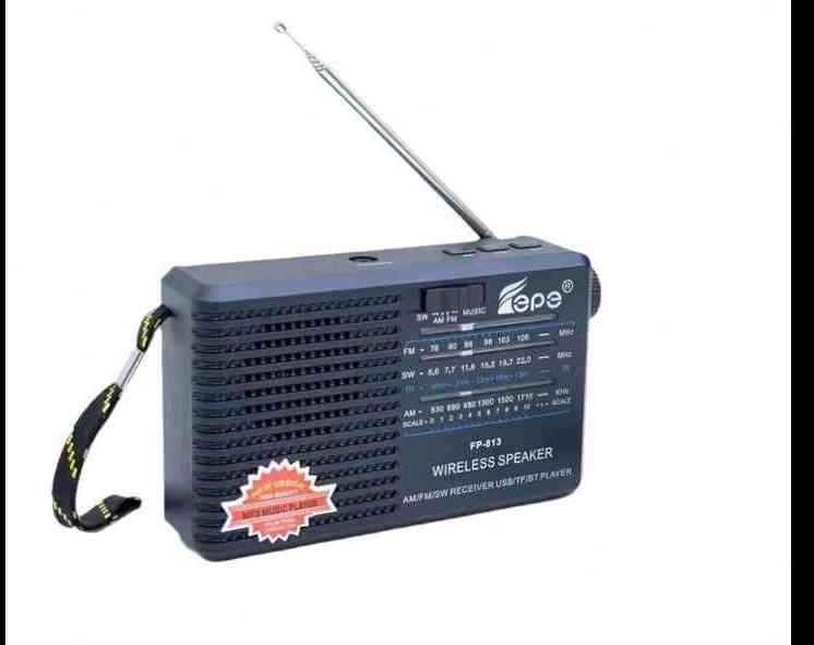 Tepe FM & Bluetooth Wireless Speaker - FP-813